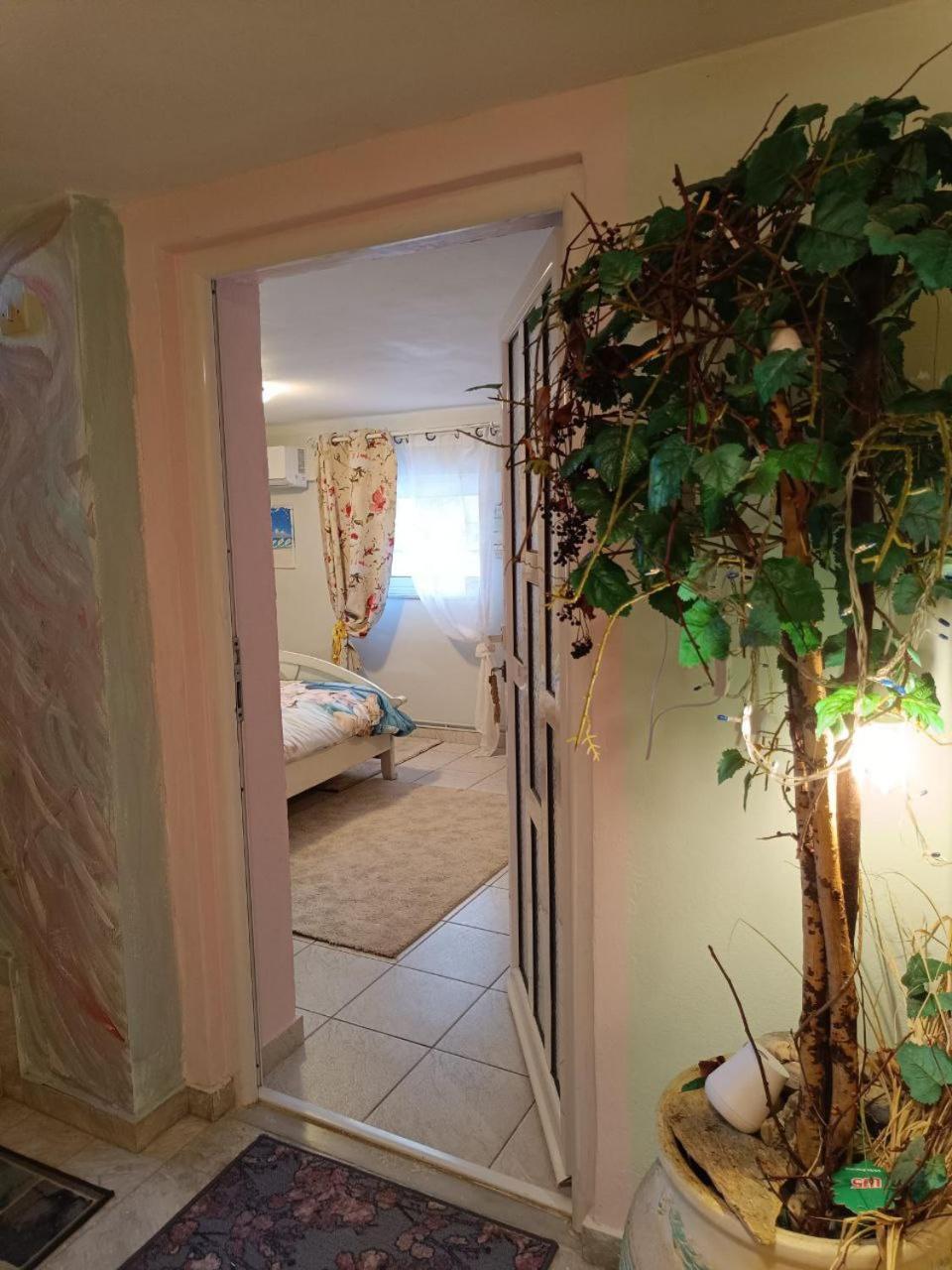 Maria Guesthouse Aliveri Rom bilde